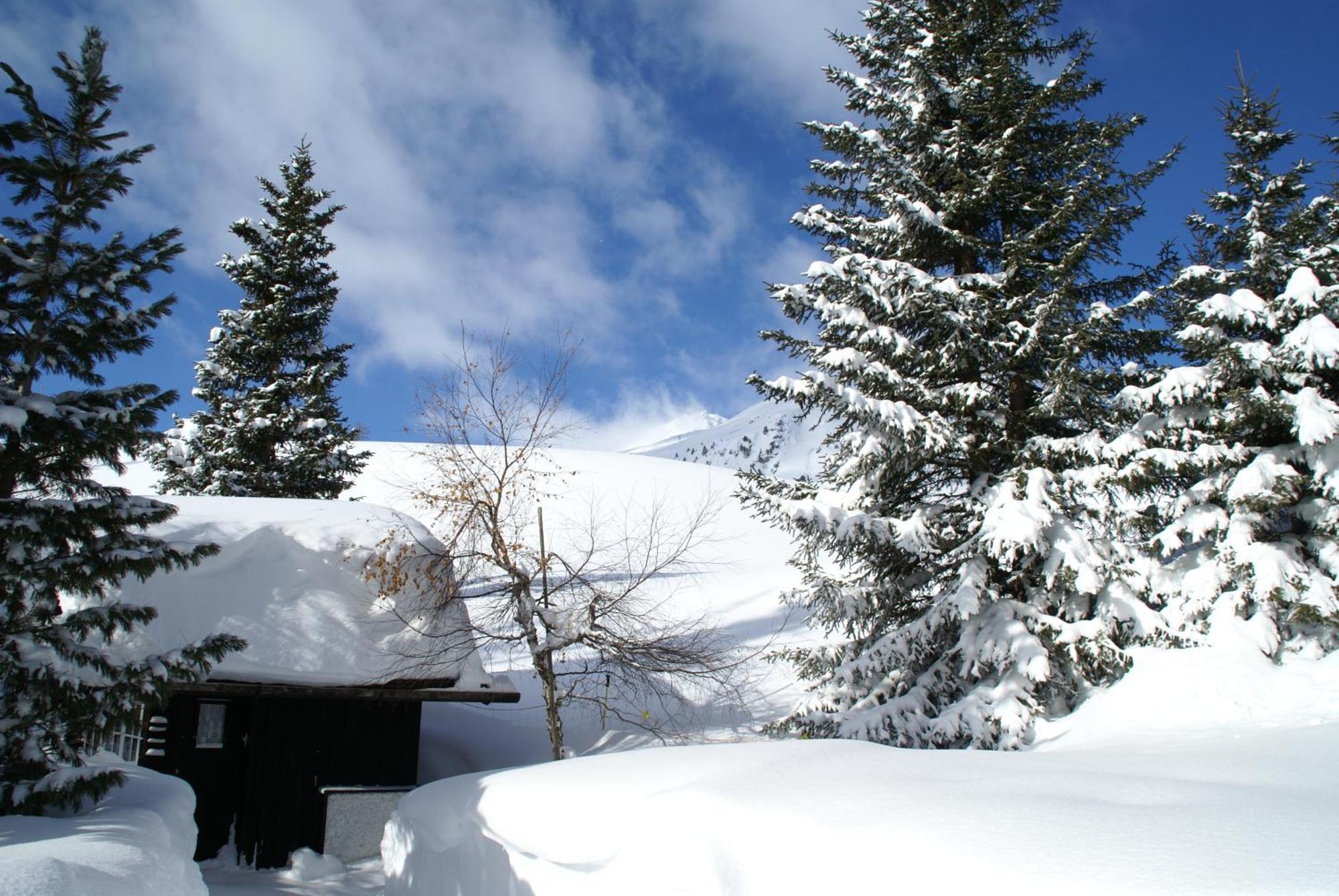 Chalet Baur Ароза Экстерьер фото